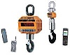 Весы крановые 20 THD 